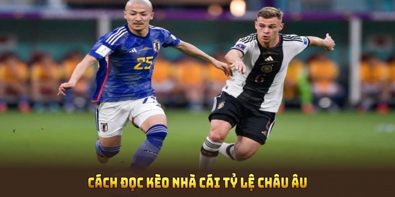 Cách đọc kèo nhà cái tỷ lệ châu Âu hiệu quả để chiến thắng