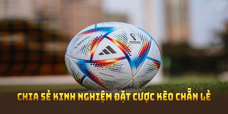 Chia sẻ kinh nghiệm đặt cược kèo chẵn lẻ hiệu quả nhất